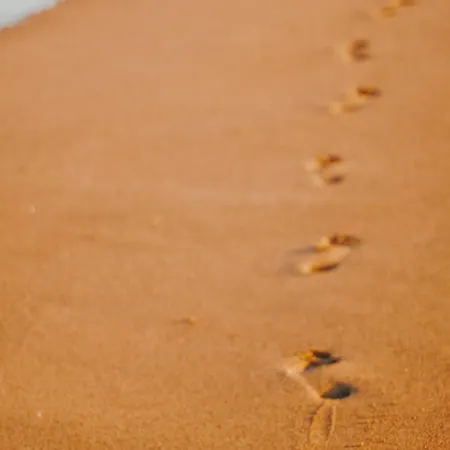 Maison Avec Jardinet Proche Et Parking - Fr-1-652-58 別荘 サン・ジャン·ド・モン