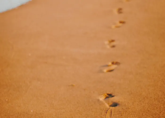 Maison Avec Jardinet Proche Et Parking - Fr-1-652-58 Casa vacanze Saint-Jean-de-Monts